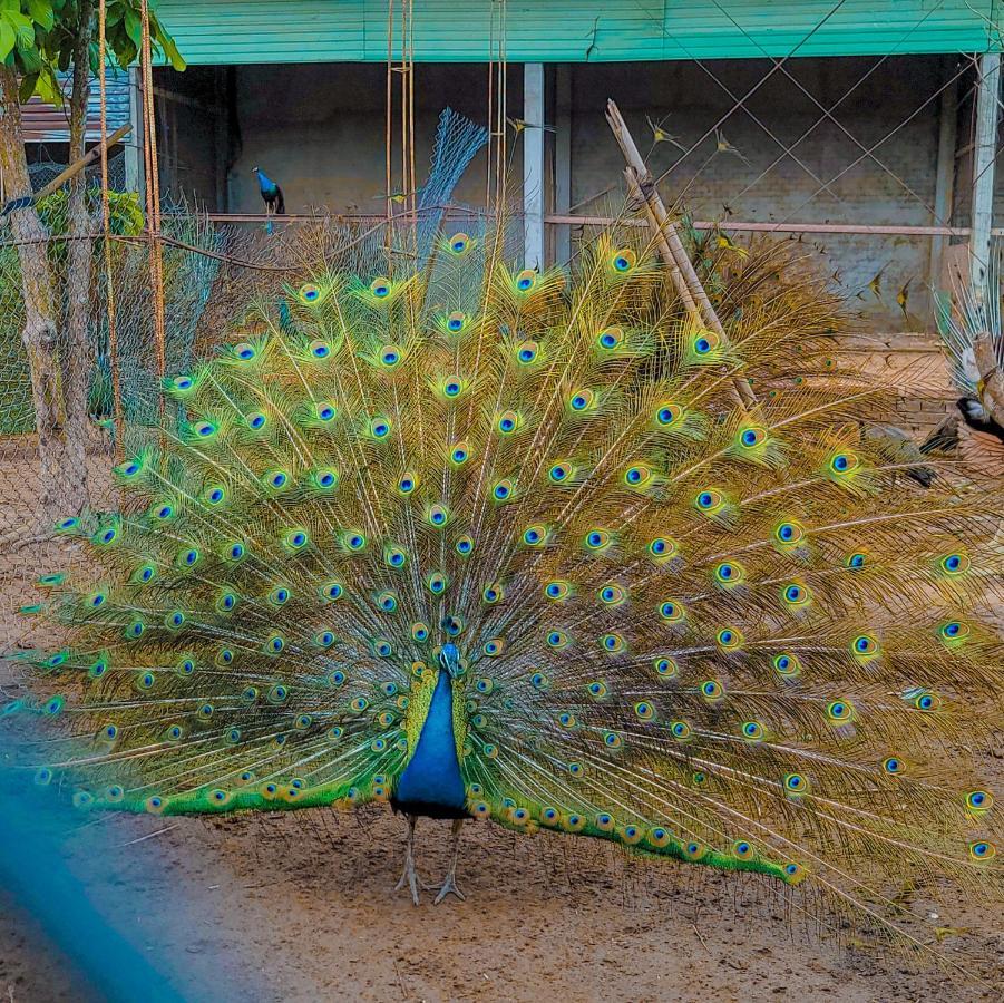 Casa Eco Mekong Resort Can Tho Dış mekan fotoğraf